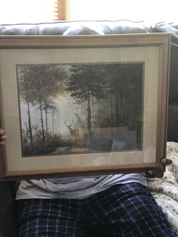 Beautiful deer print great condition 20 dollars