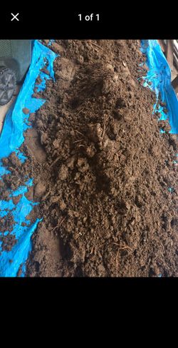 Bulk Topsoil / Garden Dirt