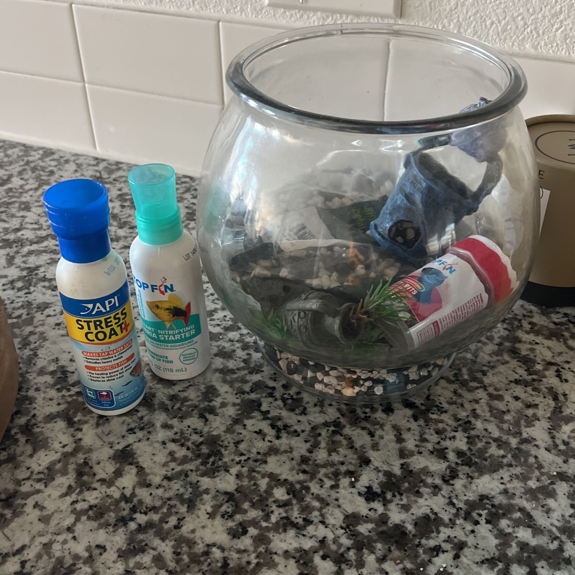 Beta Fish Tank Starter