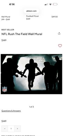 Pottery Barn NFL Rush The Field Wall Mural Artwork