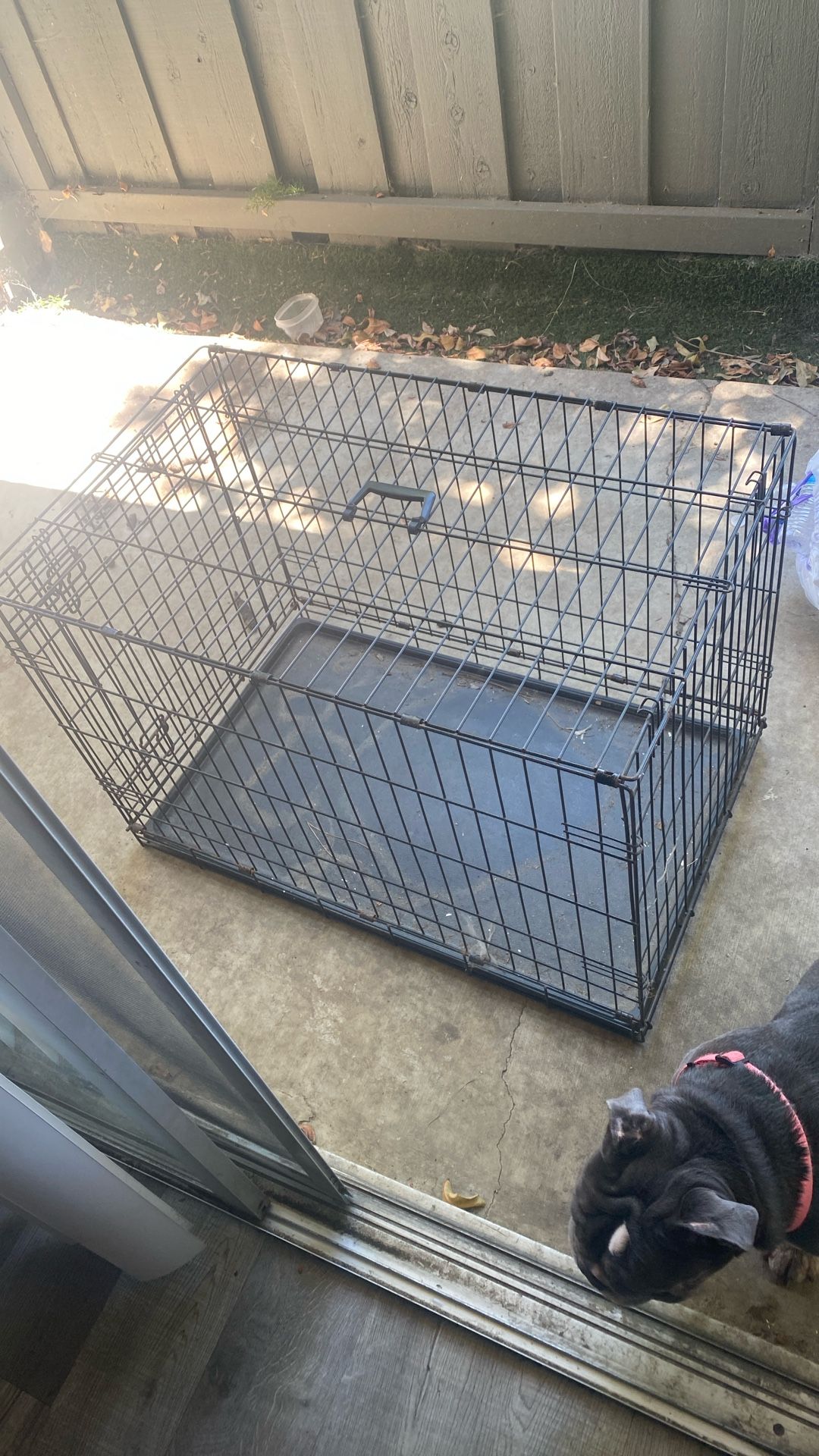 Dog Cage