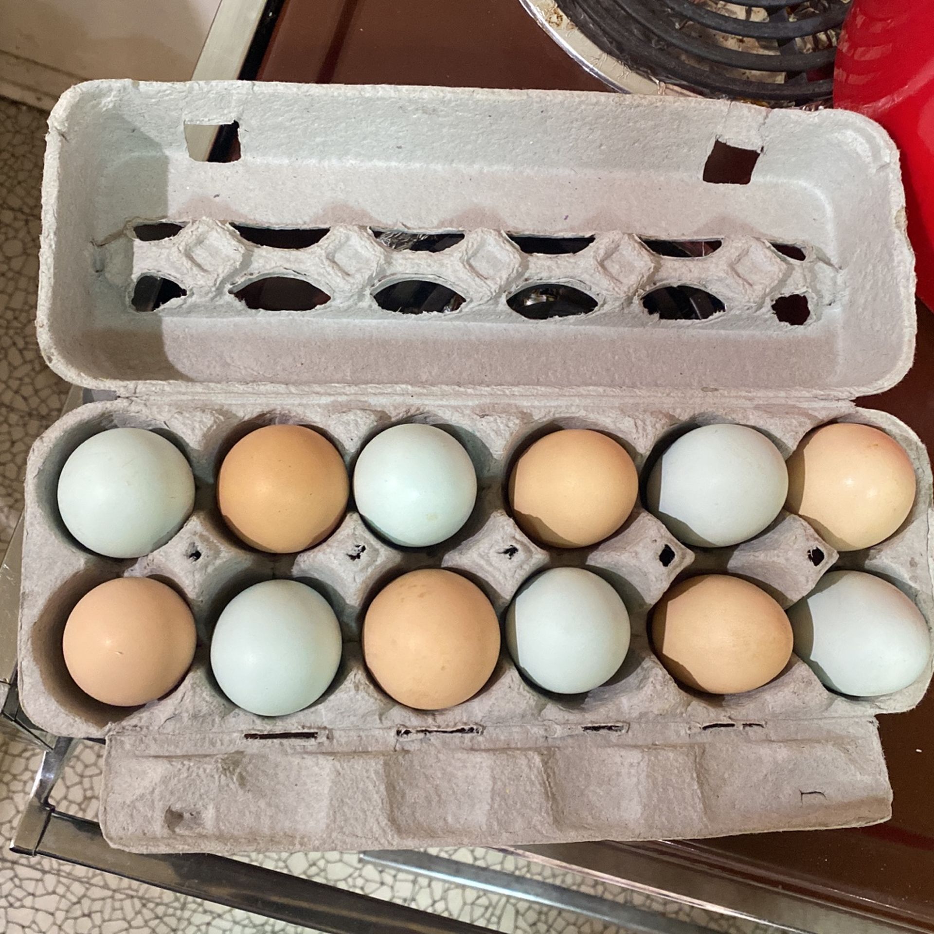 Fresh Back Yard Chicken Eggs