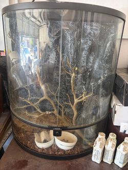 Reptile tank