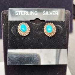 Arizona Sleeping Beauty Turquoise Studs