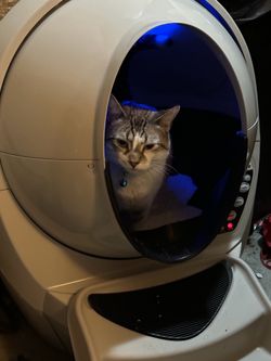 Whisker Litter Robot 3 Connect - Beige