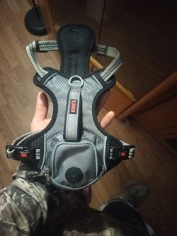 Dog Vest (Kong)