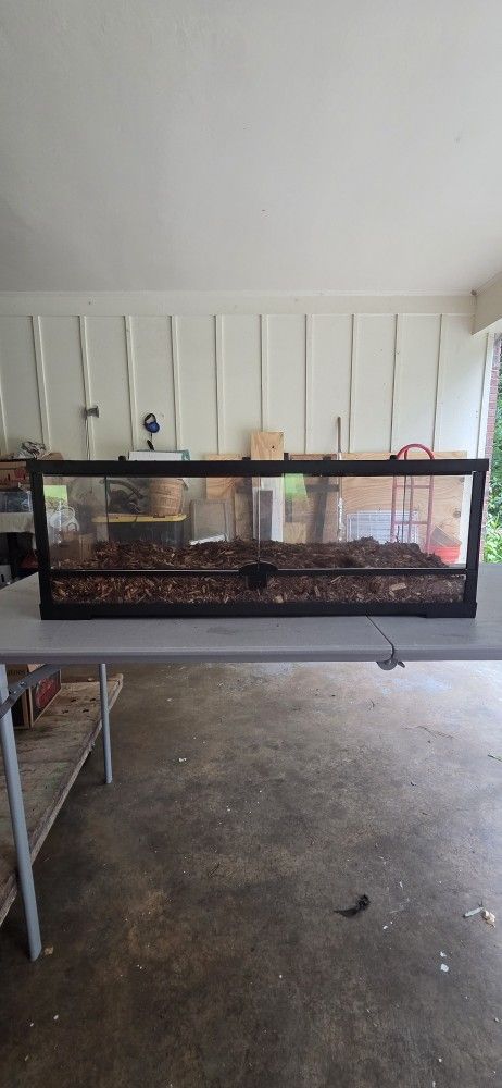Reptile Terrarium
