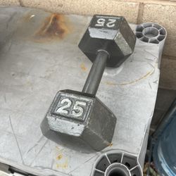 25 Lbs Dumbbell
