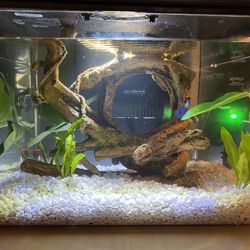 3 Gallon Trapezoid Aquarium