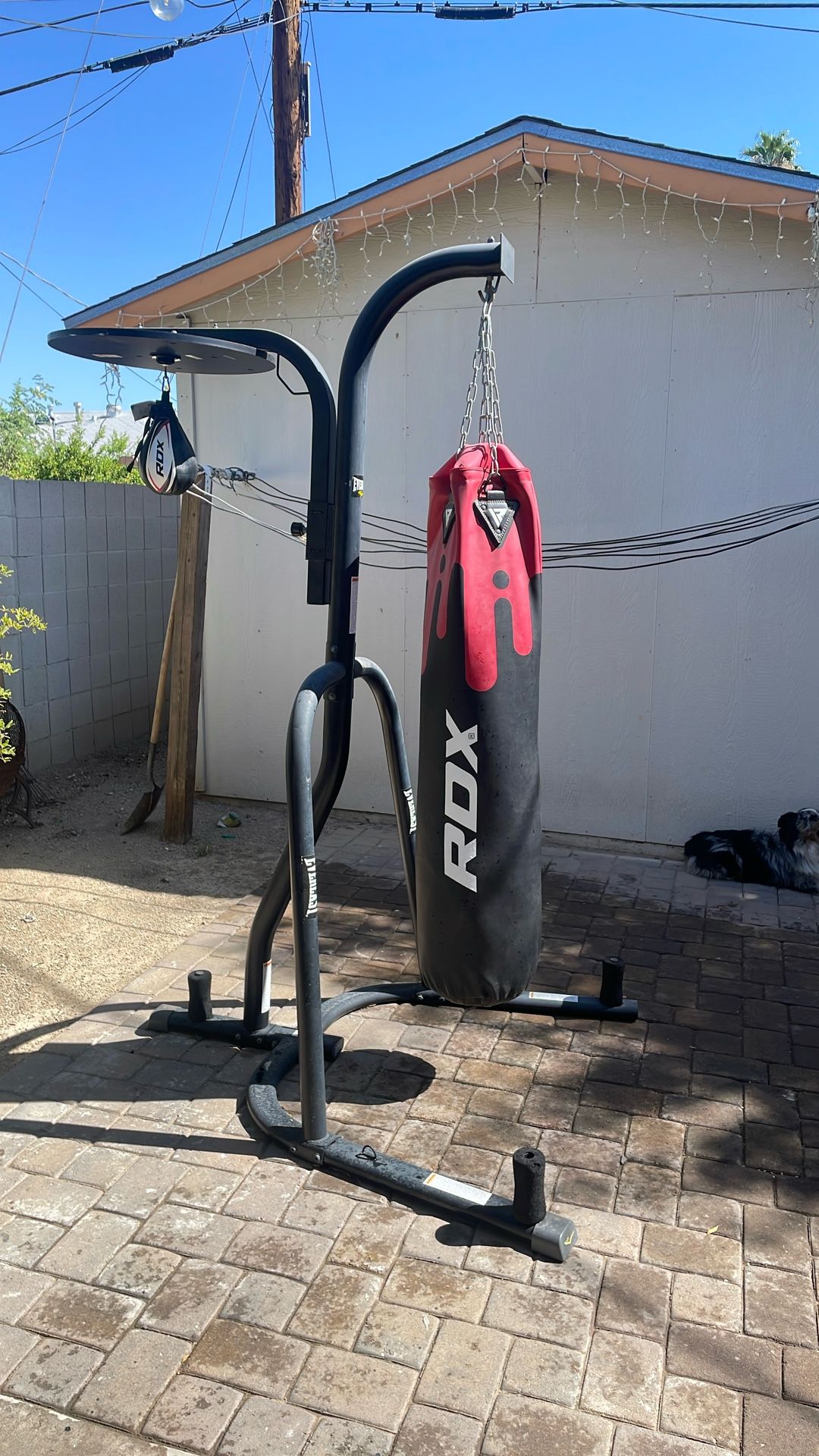 Everlast Punching Bag And Speedbag