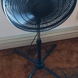 Big Fan