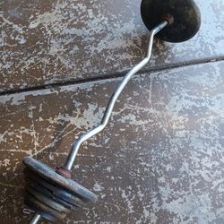 Curl Bar With 100lbs 