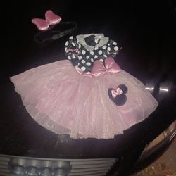 Minnie Mouse Costume