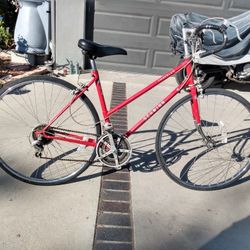 Schwinn Traveler 12 Speed