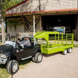 Cowboy custom toys