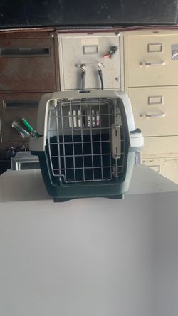 Pet carryon