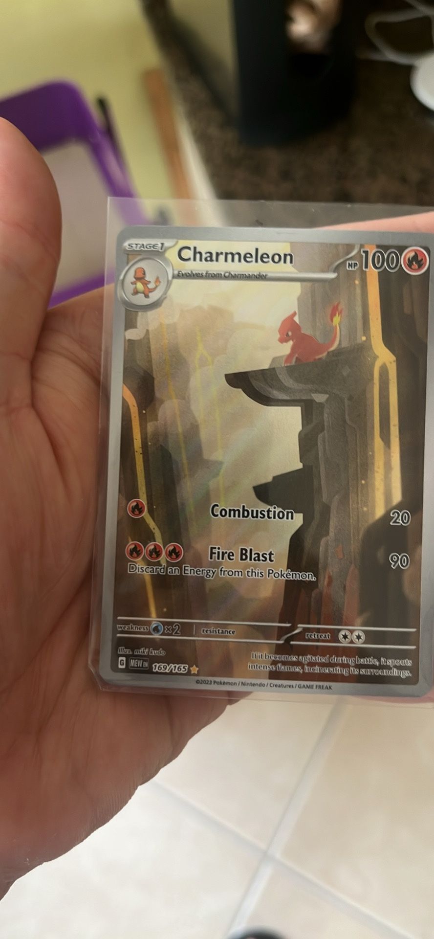 CHARMELEON 151 ENGLISH