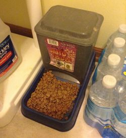 Auto feeder and auto water