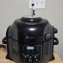 Ninja Air Fryer Pressure Cooker 