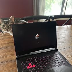 ROG STRIX GAMING LAPTOP (32 GB RAM)