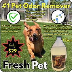 pet turf deodorizer.  stop the stink