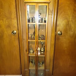 Wodden Glass Front Cabinet 