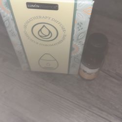Brand new small diffuser with bottle of ginger bread sent it oil