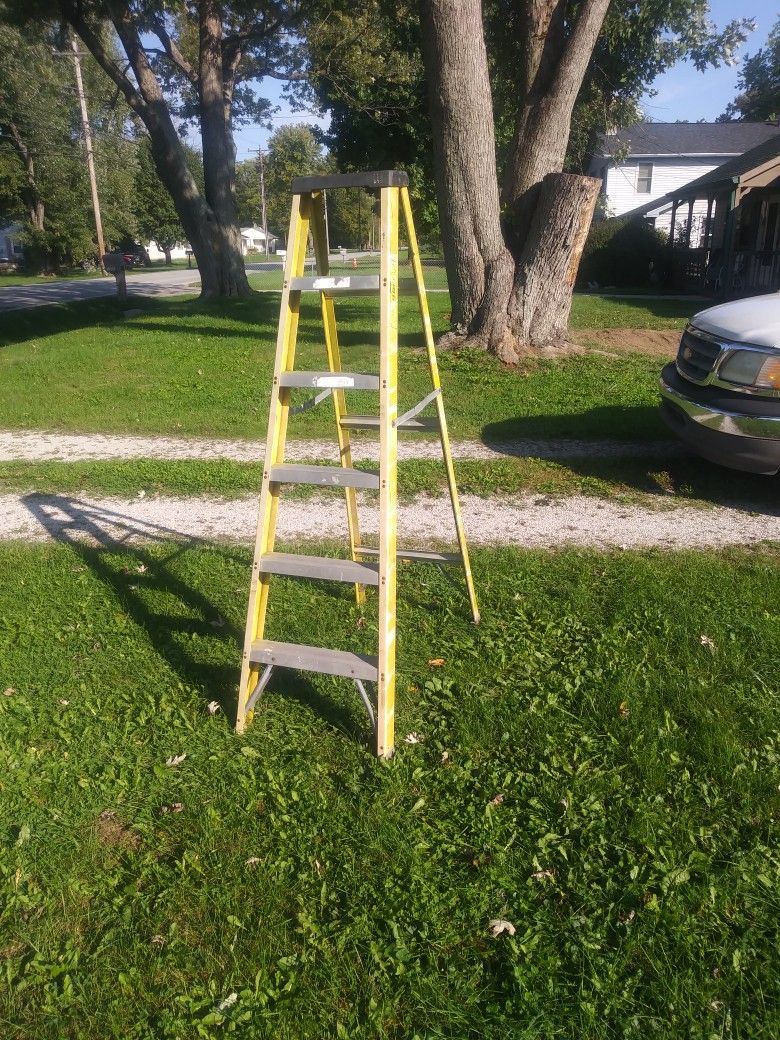 6 Ft Ladder