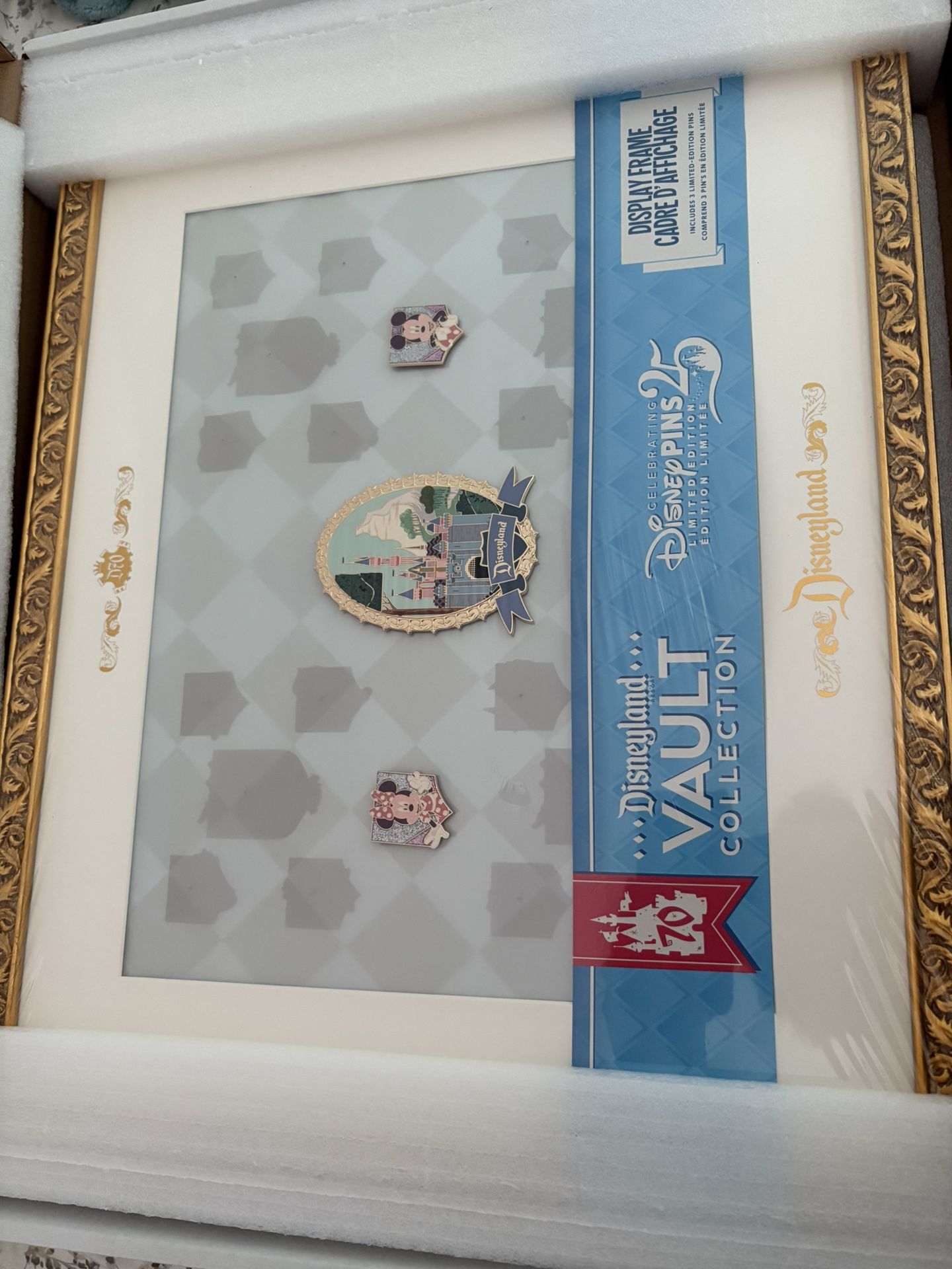 Disney Vault Frame