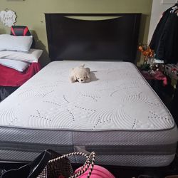 QUEEN SIZE 