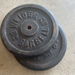 A Pair Of Weirder 50 Lb Weights
