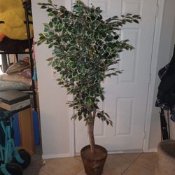 Artificial Tree 6'