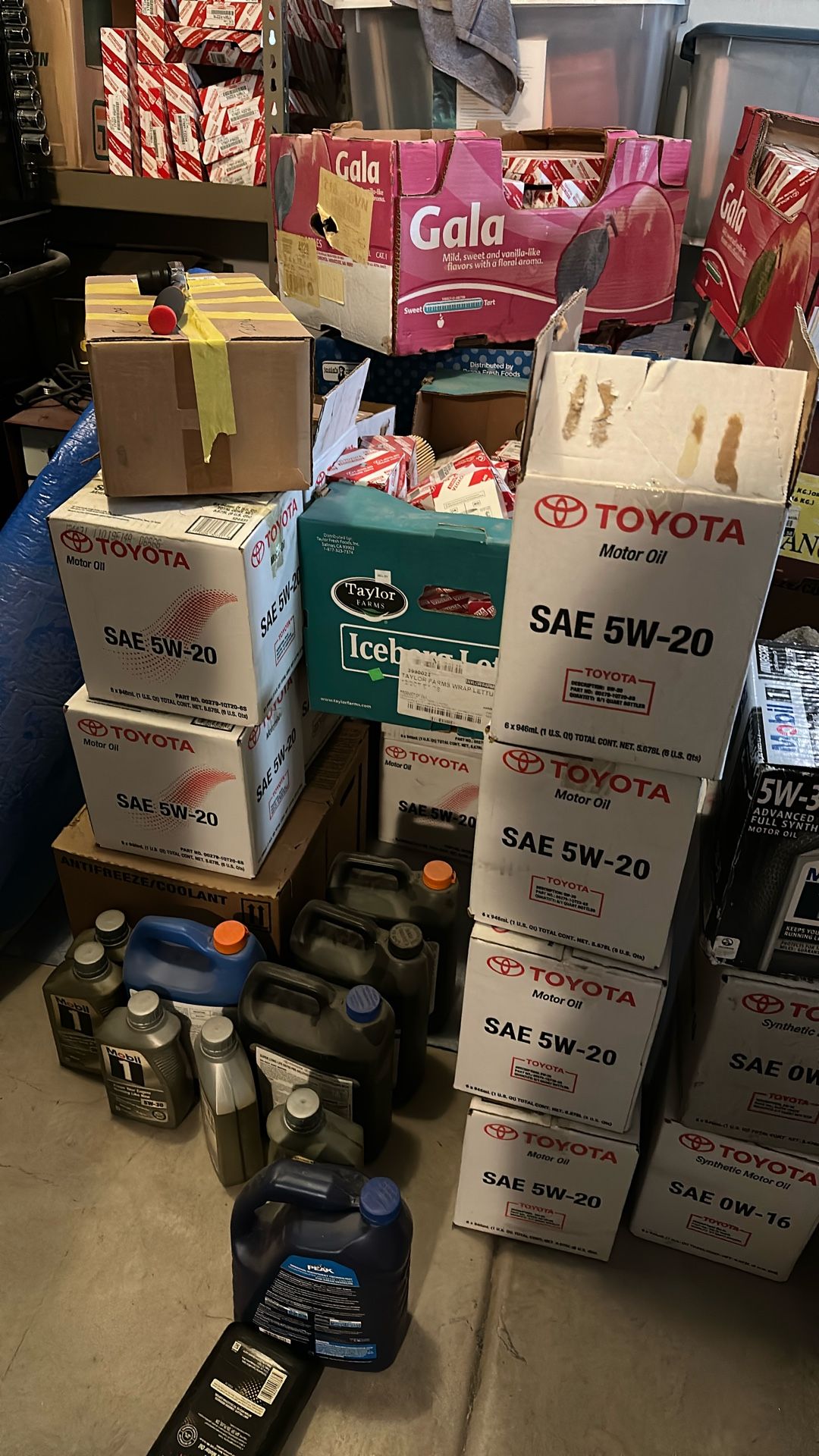 Toyota Fluids And Filters