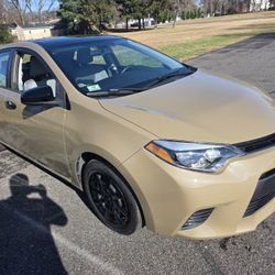 Corolla LE 2016