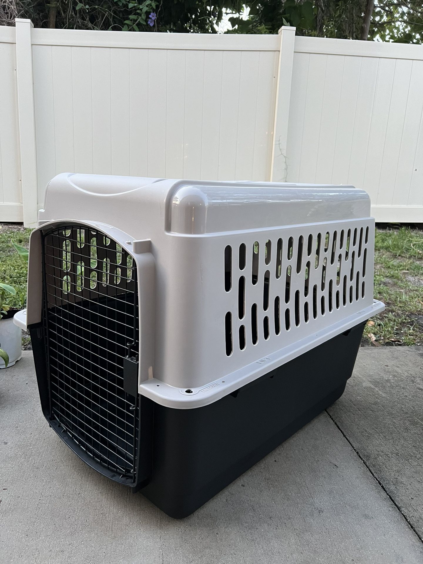 Dog Kennel