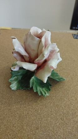 Porcelain rose dark to light punk petals with green leaf base