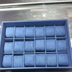 Blue Watch case