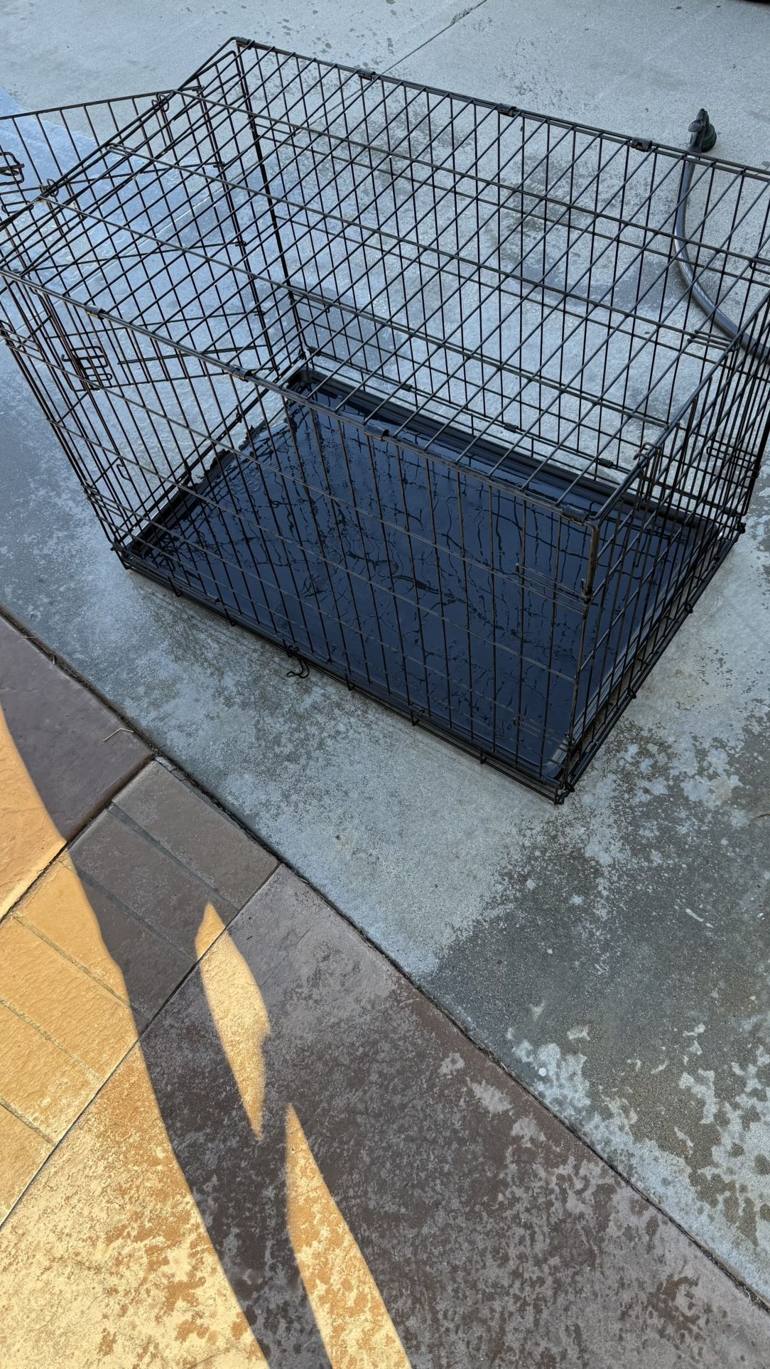 Dog Crate