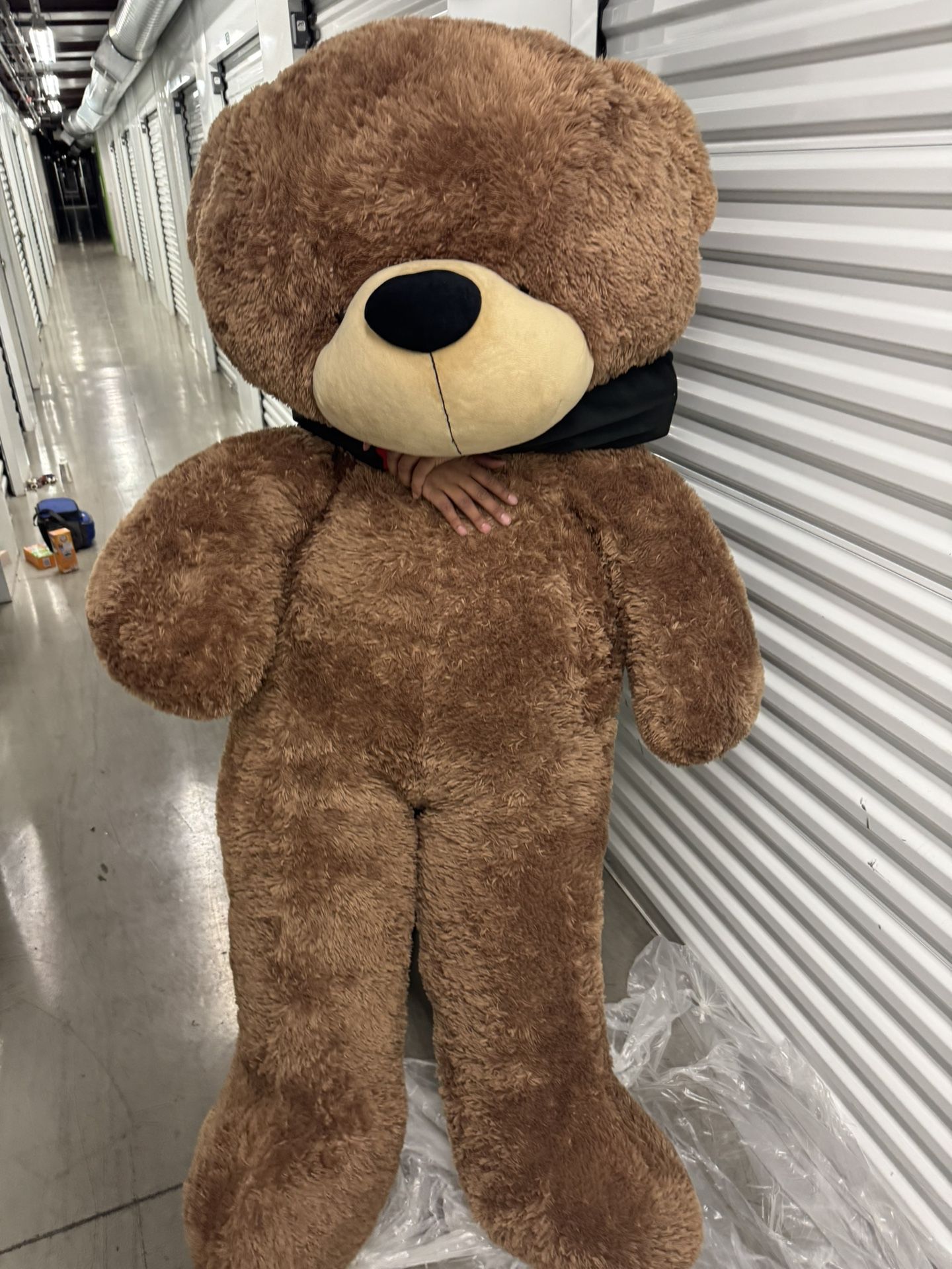 HUGE teddy Bear !