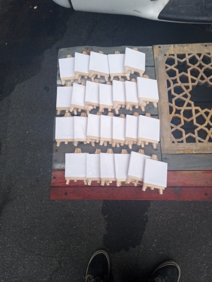 25 3inch Canvases With Mini Easels