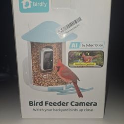 Bird Feeder