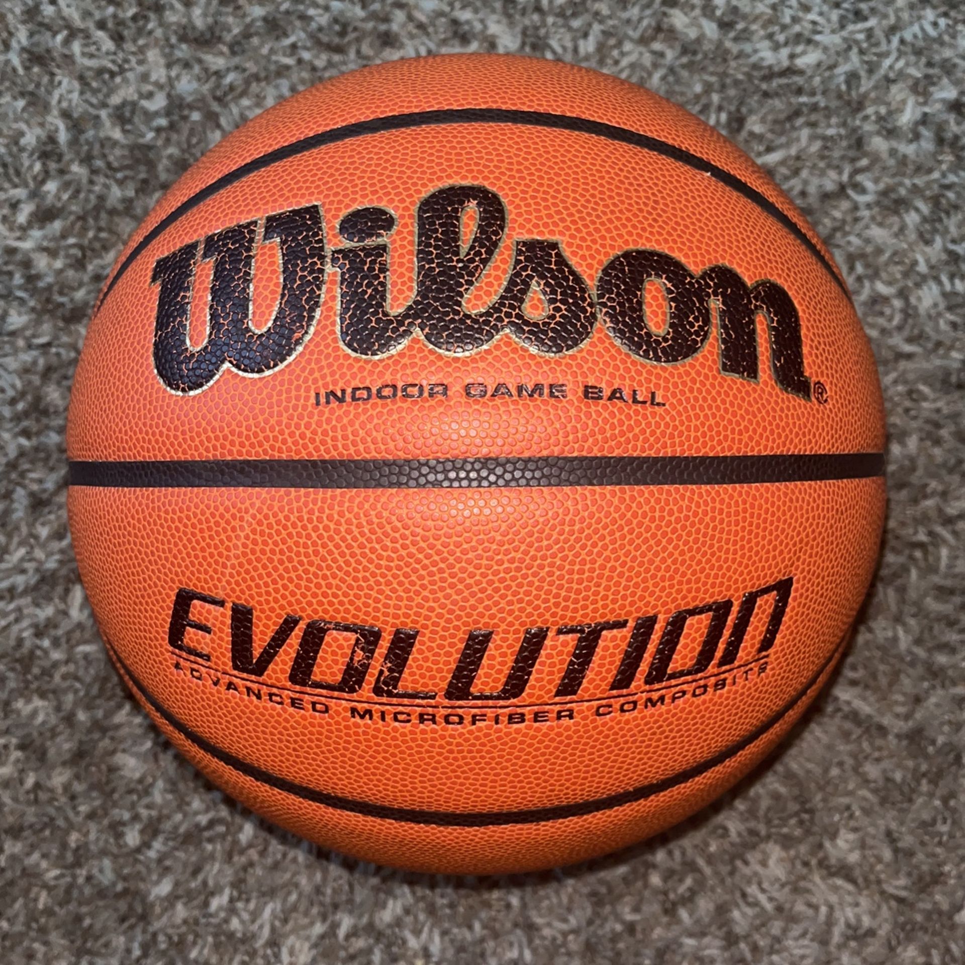 Wilson Indoor Game ball