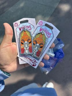 Disney window Of attraction Pin
