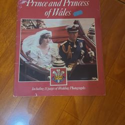The Prince And Princess  Of Wales