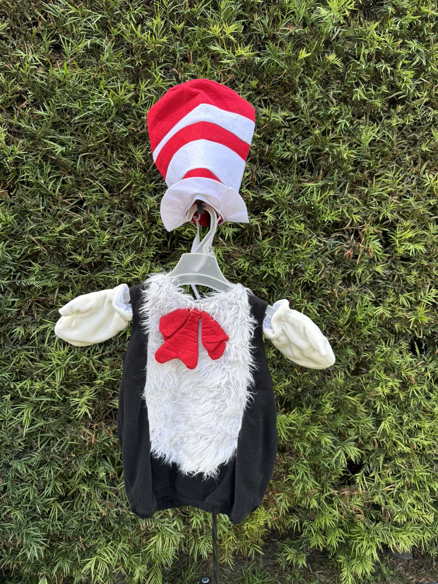 Cat in the Hat Costume