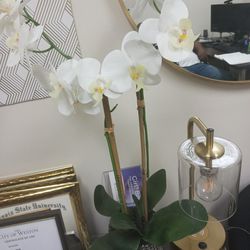 Gold Desk Lamp & Orchid 