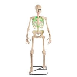 6.5 ft LED Skeleton Deocration for Halloween