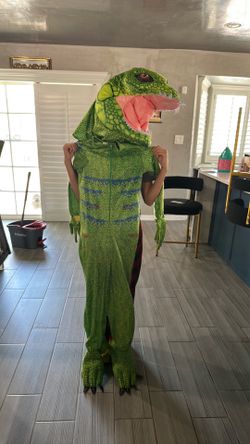 Iguana costume