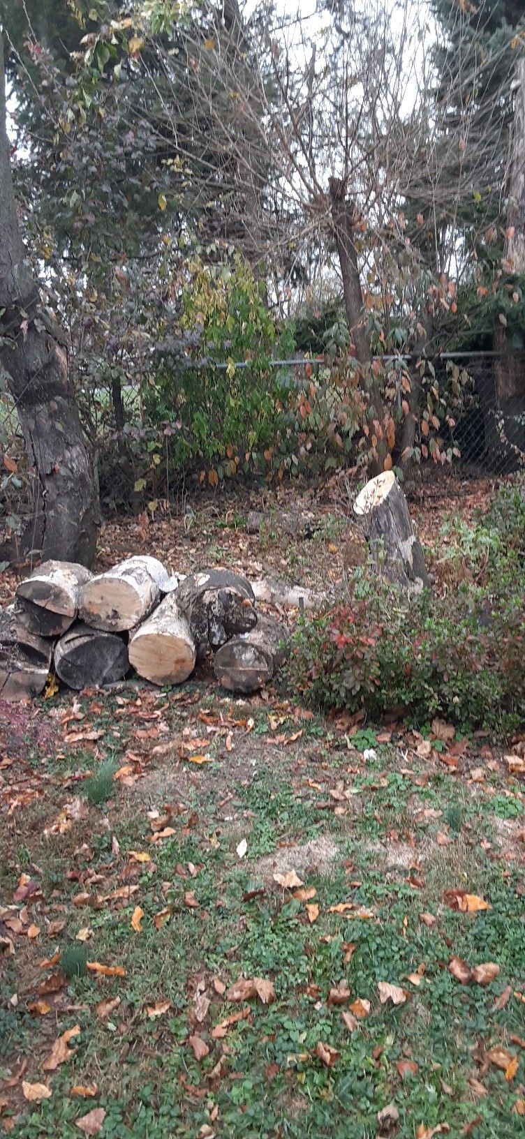 Firewood