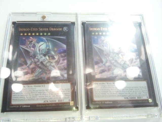 Indigo Eyes Silver Dragon x2